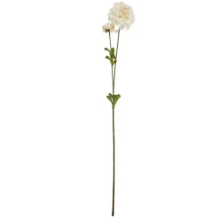 2 branches Dalia 63cm*Muy Mucho Hot