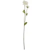 2 RANCULO 63CM CR.*Muy Mucho Outlet
