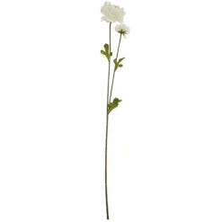 2 RANCULO 63CM CR.*Muy Mucho Outlet