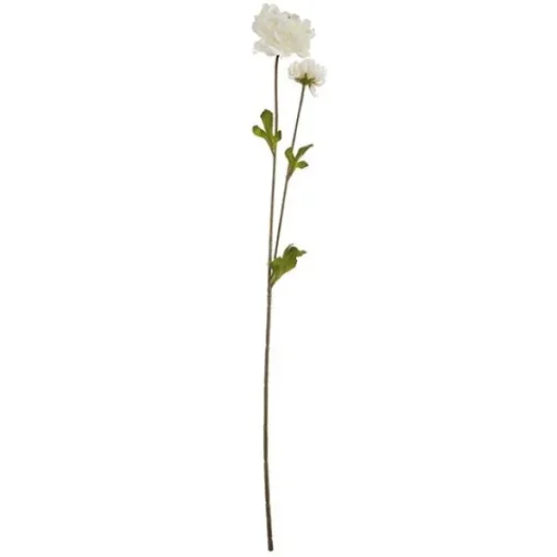 2 RANCULO 63CM CR.*Muy Mucho Outlet
