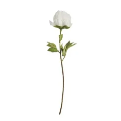 Blanca Peonia Rama*Muy Mucho Outlet