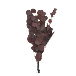 Branch of Apbo Apple 60cm Bo.*Muy Mucho Sale