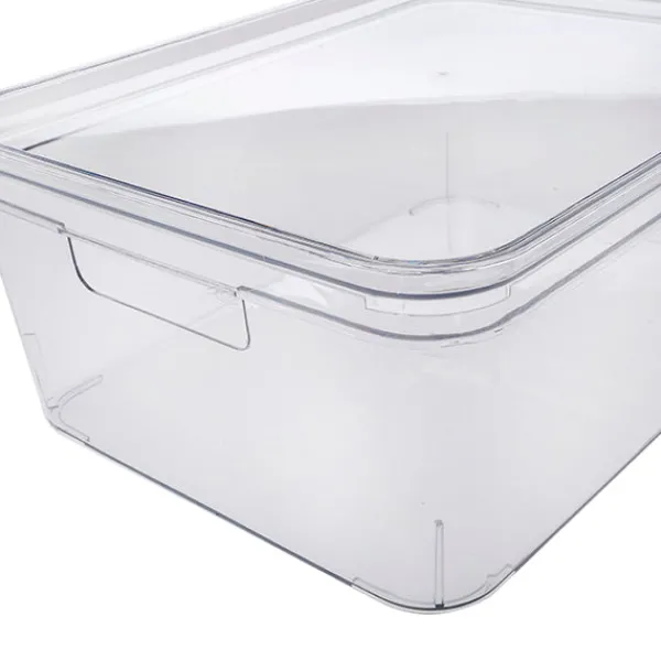 Caja transparente con tapa*Muy Mucho