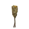 Dried roses bouquet*Muy Mucho Sale
