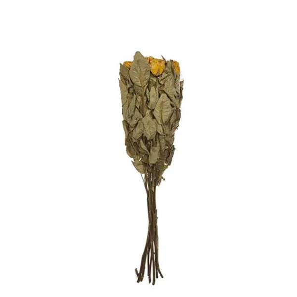 Dried roses bouquet*Muy Mucho Sale