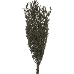 Dry wild leaf bouquet*Muy Mucho Outlet