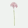 Hortensia 62Cm Rs.*Muy Mucho Outlet