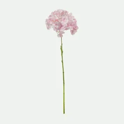 Hortensia 62Cm Rs.*Muy Mucho Outlet