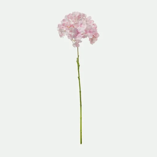 Hortensia 62Cm Rs.*Muy Mucho Outlet