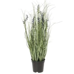 Maceta lavanda*Muy Mucho