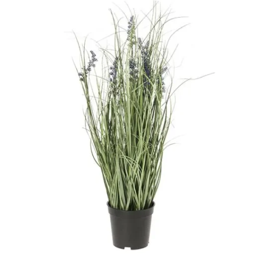 Maceta lavanda*Muy Mucho