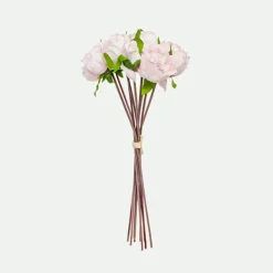 Peony bundle*Muy Mucho Clearance