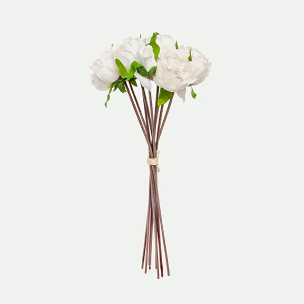 Peony bundle*Muy Mucho Online