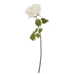 Pink branch*Muy Mucho Outlet