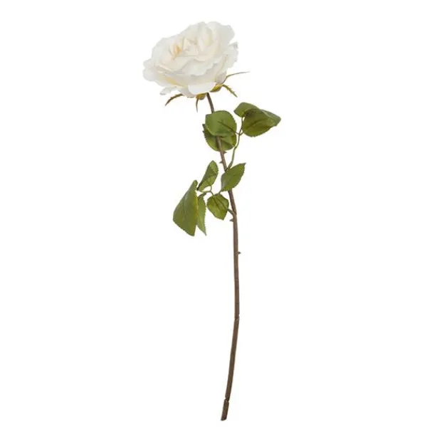 Pink branch*Muy Mucho Outlet