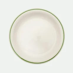 Plato Llano Vivo 17X27X2,3Cm Ve.*Muy Mucho Online