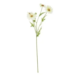 Rama Daisy*Muy Mucho Clearance