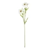 RAMA DAISY 60 CM / CR.*Muy Mucho Online