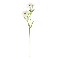 RAMA DAISY 60 CM / CR.*Muy Mucho Online