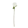 Rama Dalia Blanca*Muy Mucho New