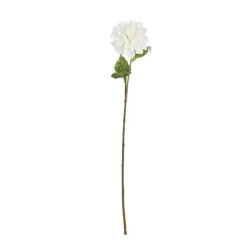 Rama Dalia Blanca*Muy Mucho New