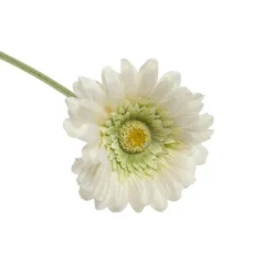 Rama gerbera*Muy Mucho Online