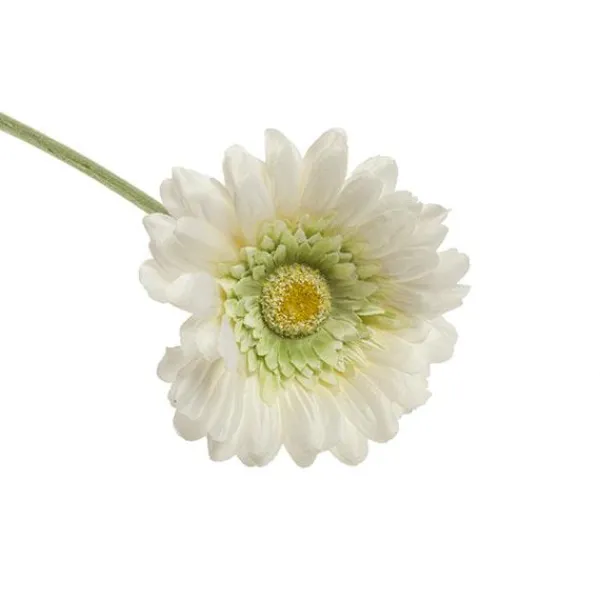 Rama gerbera*Muy Mucho Online