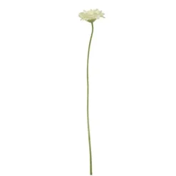 RAMA GERBERA*Muy Mucho
