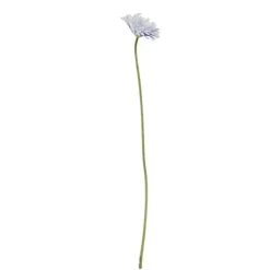 RAMA GERBERA 63 CM*Muy Mucho Sale