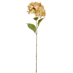 Rama hortensia*Muy Mucho Outlet