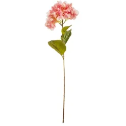Rama hortensia*Muy Mucho Sale