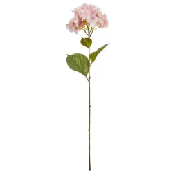 Rama hortensia*Muy Mucho Best