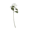 Rama hortensia*Muy Mucho Outlet
