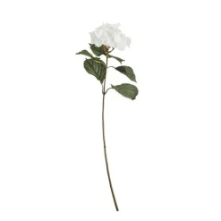 Rama hortensia*Muy Mucho Outlet