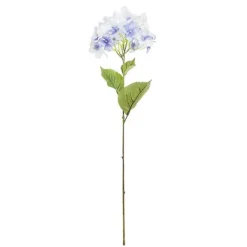 Rama hortensia*Muy Mucho Online