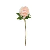 Rama peonia*Muy Mucho Clearance