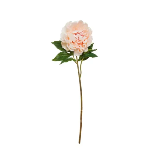 Rama peonia*Muy Mucho Clearance