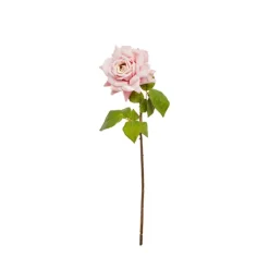 RAMA ROSA*Muy Mucho Clearance