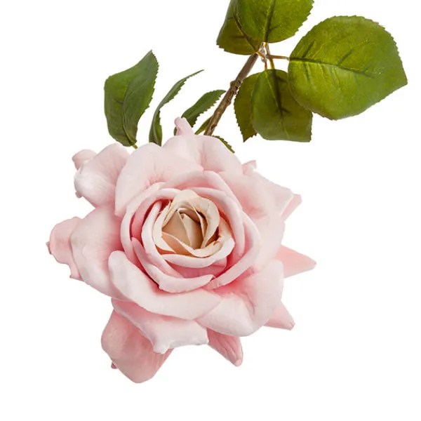 RAMA ROSA*Muy Mucho Clearance