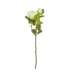 RAMA ROSA BLANCA*Muy Mucho New