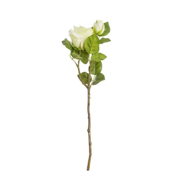 RAMA ROSA BLANCA*Muy Mucho New