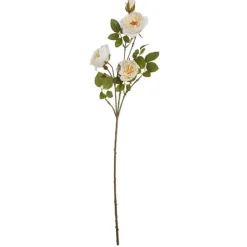 Ramo Rosas*Muy Mucho Hot