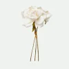 Rose bundle*Muy Mucho Best
