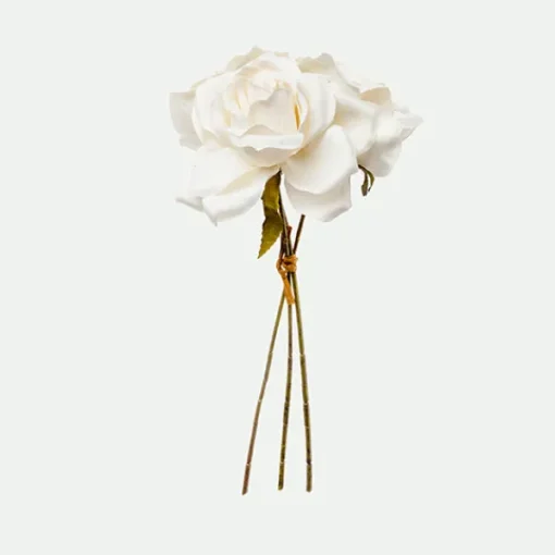 Rose bundle*Muy Mucho Best
