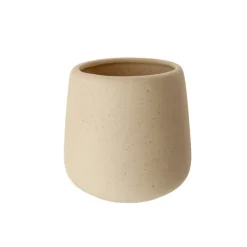 Vaso cepillo de dientes*Muy Mucho Best